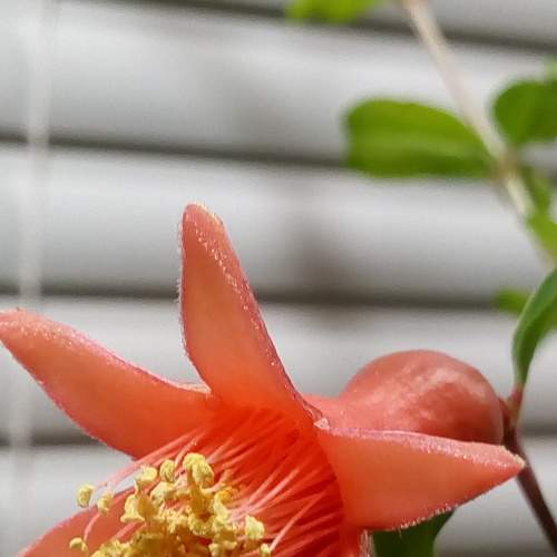 Photo #6927911