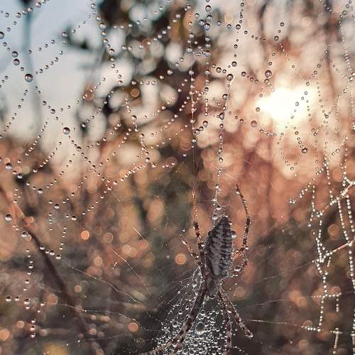Photo #6928031