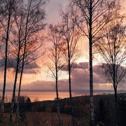Photo #6928048