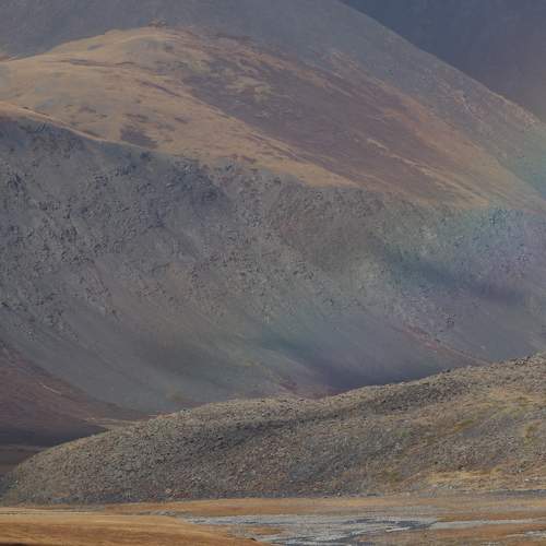 Photo #6928090