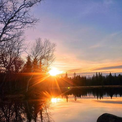 Photo #6928241