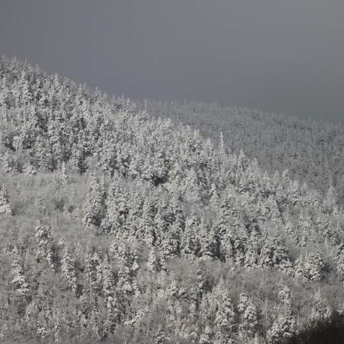 Photo #6928295