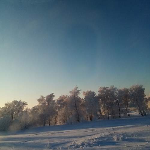 Photo #6928524