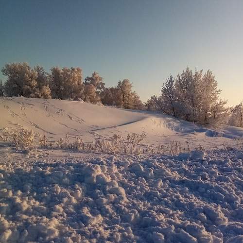 Photo #6928525