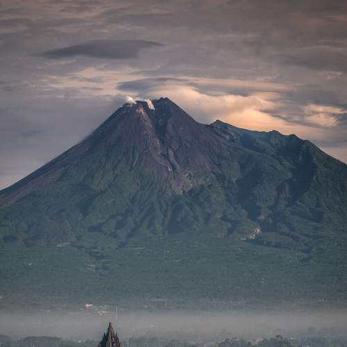 Photo #6928600
