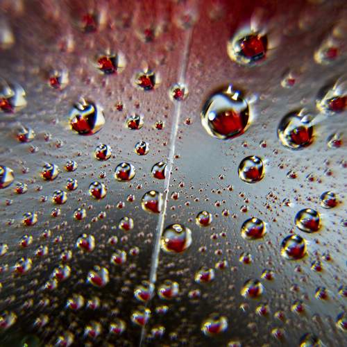 Photo #6928677