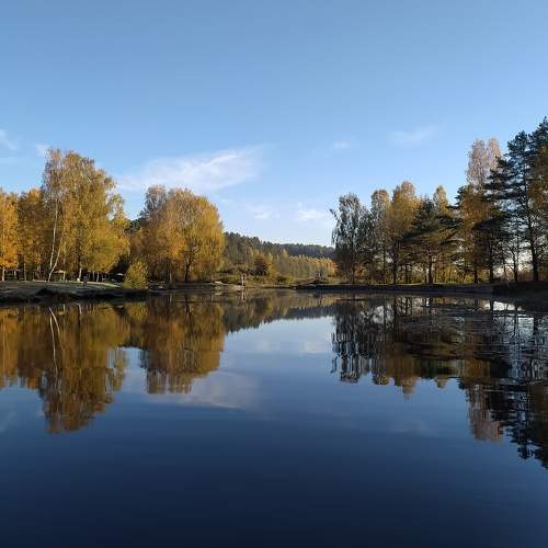 Photo #6928816