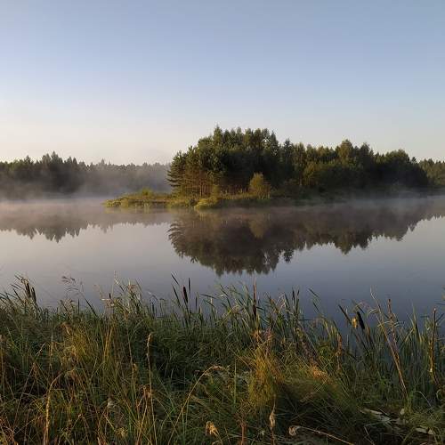 Photo #6928831
