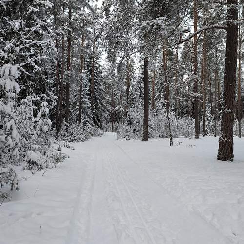 Photo #6928925