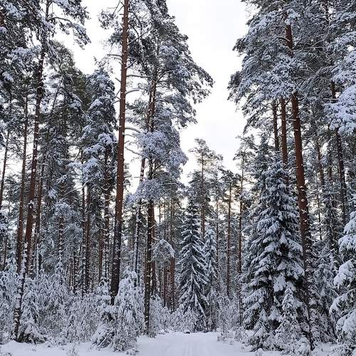 Photo #6928926
