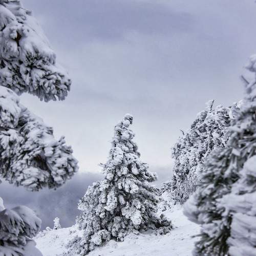Photo #6929030