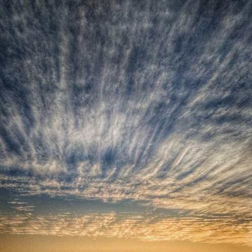 Photo #6929435