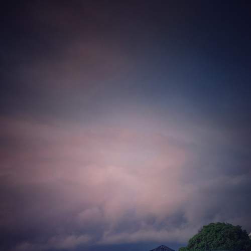 Photo #6929458