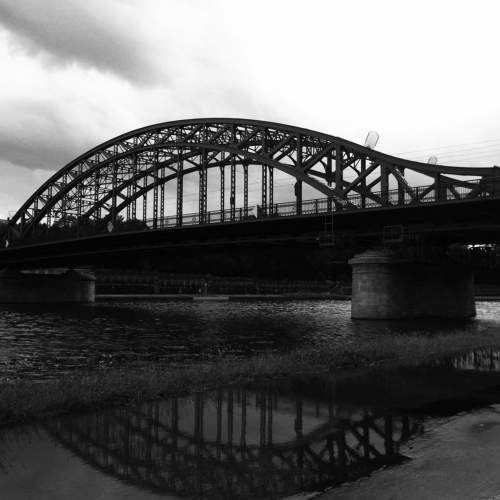 Photo #6929524