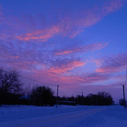 Photo #6929557