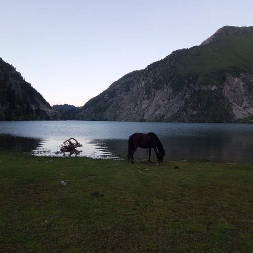 Photo #6929680