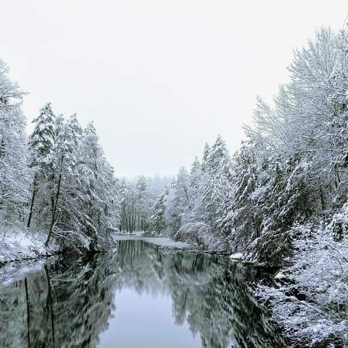 Photo #6930424