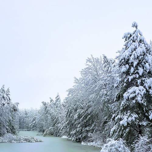 Photo #6930428