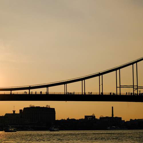 Photo #6930439