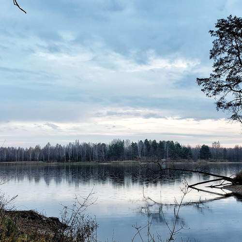 Photo #6930452