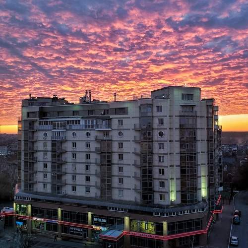 Photo #6930461