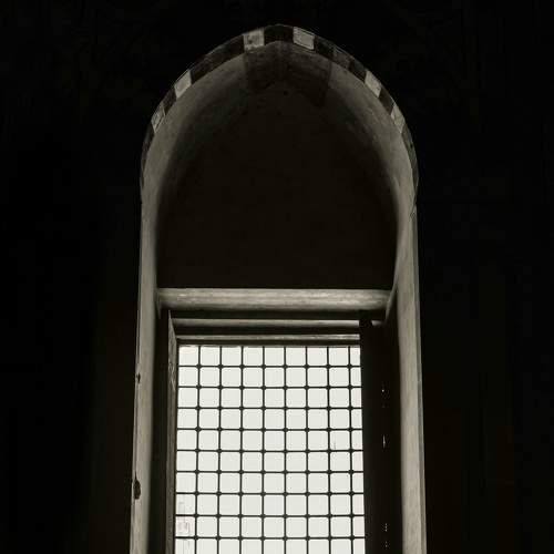 Photo #6930500