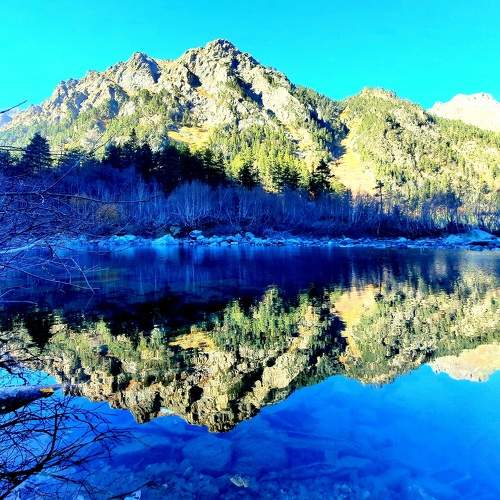 Photo #6930563