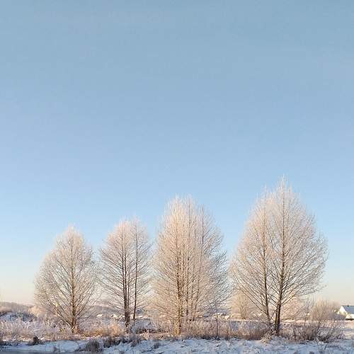 Photo #6930617