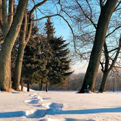 Photo #6930660