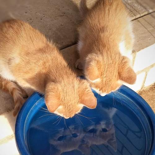 Photo #6930763