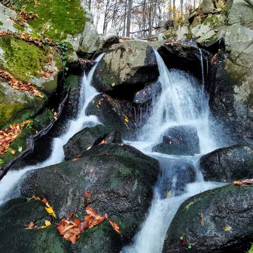 Photo #6930881