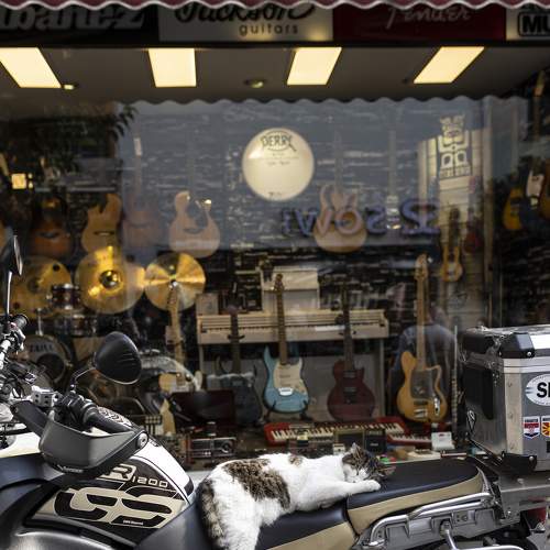 Photo #6931217