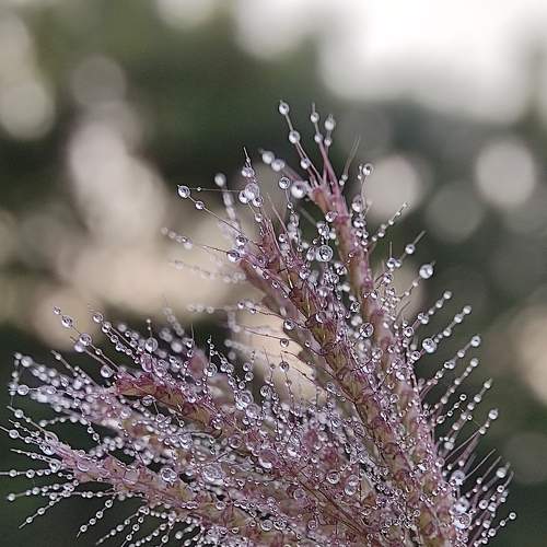 Photo #6931234