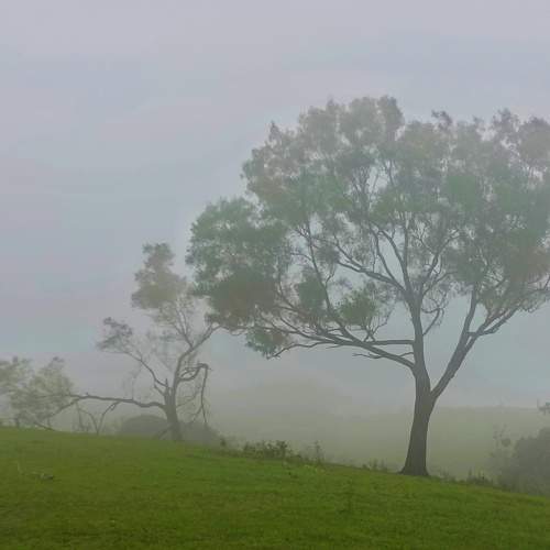 Photo #6931272