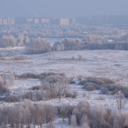 Photo #6931377