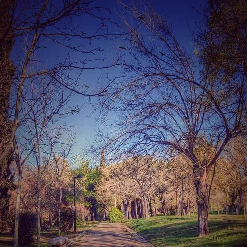Photo #6931466