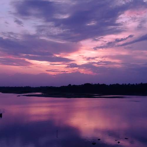 Photo #6931593
