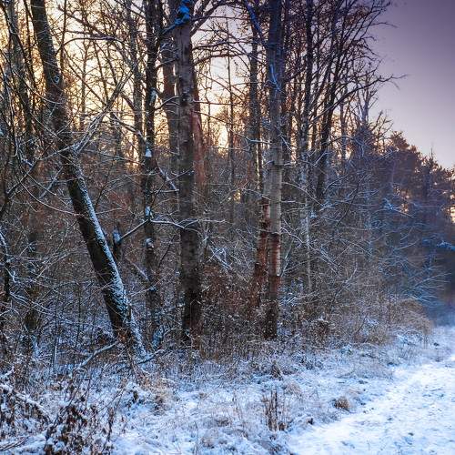 Photo #6931811