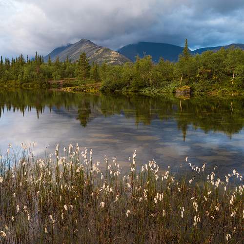Photo #6932108