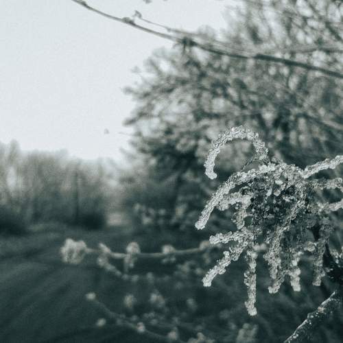 Photo #6932112