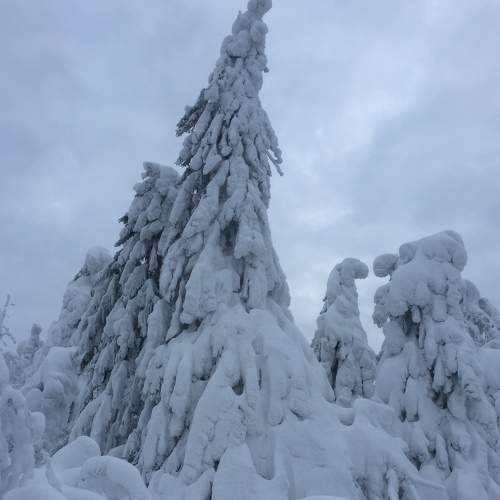 Photo #6932370