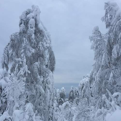 Photo #6932371