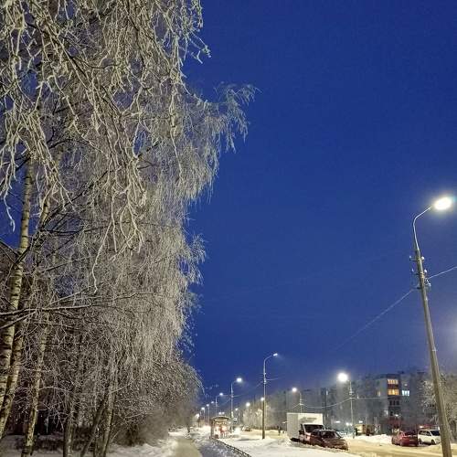 Photo #6932405