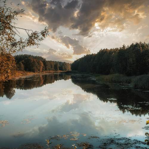 Photo #6932416