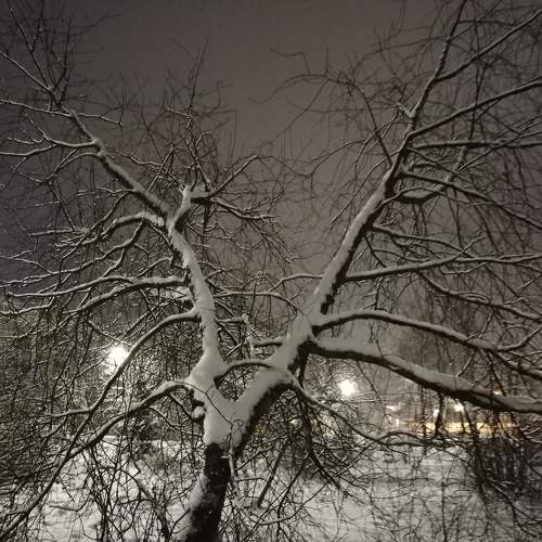 Photo #6932428