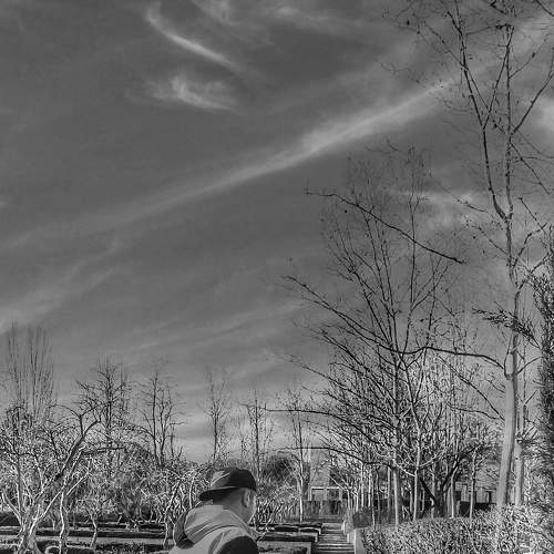 Photo #6932535