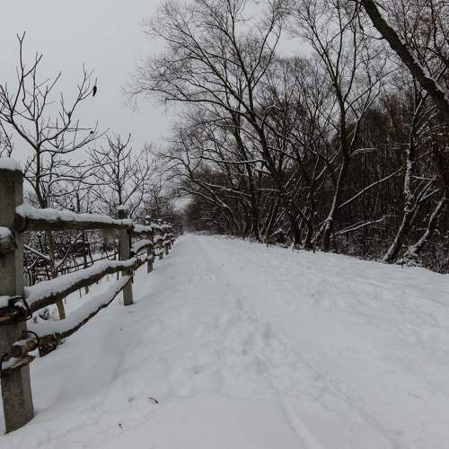 Photo #6932685