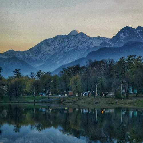 Photo #6933063