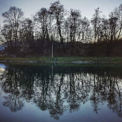 Photo #6933102