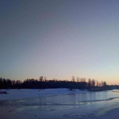 Photo #6933258